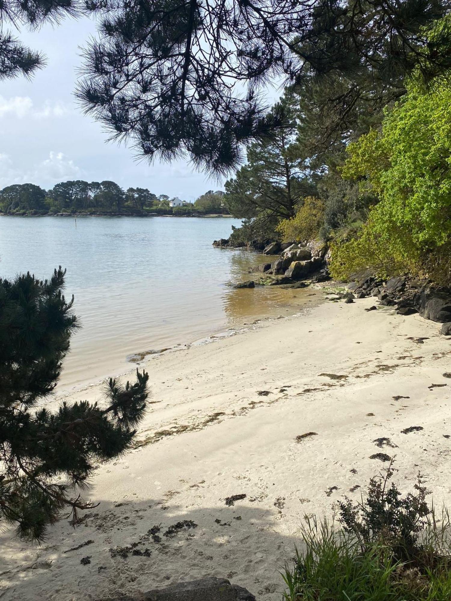 Penty Avec Terrasse 5Min Plage Trégunc Eksteriør billede