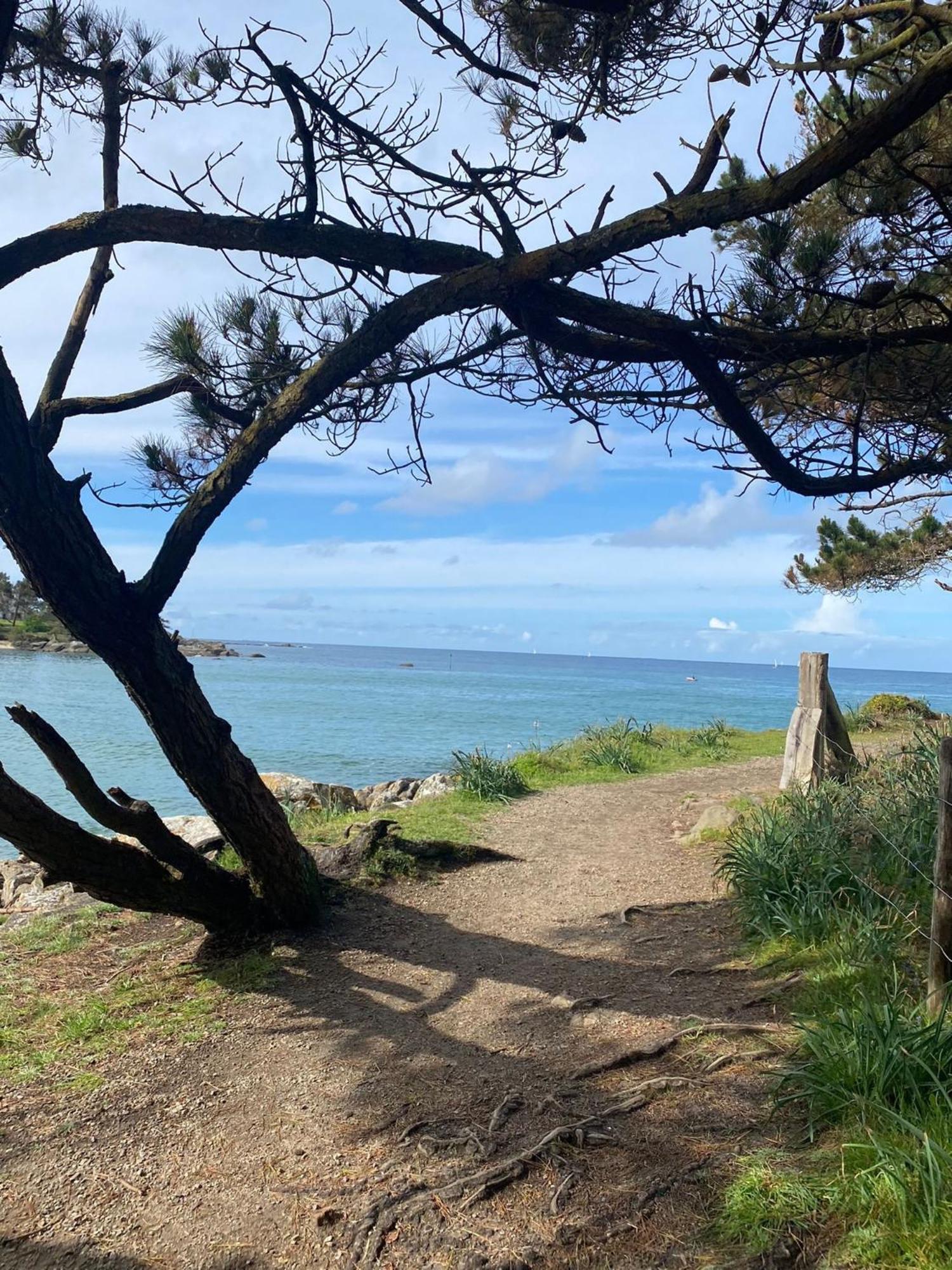 Penty Avec Terrasse 5Min Plage Trégunc Eksteriør billede